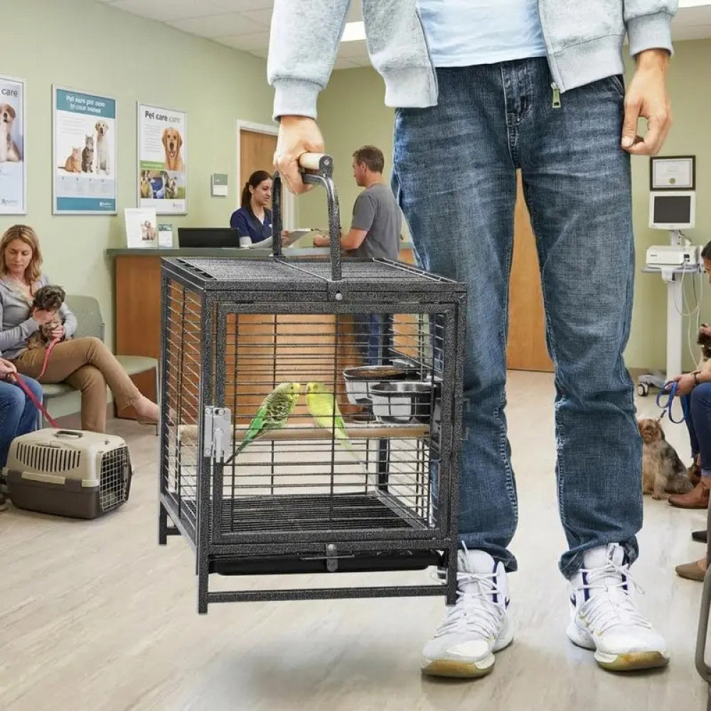 Small Bird Cage Lightweight Metal Portable for Travel