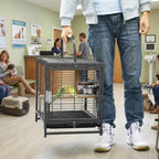 Small Bird Cage Lightweight Metal Portable for Travel